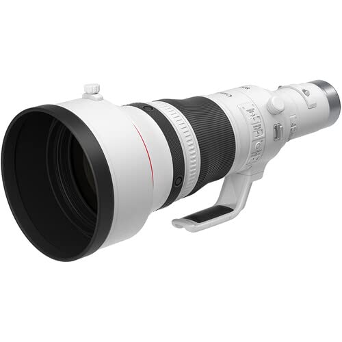 Amazon.com : Canon RF 800mm f/5.6 L is USM Lens Ideal for Sports
